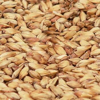 Cara Clair Malt - Castle Malting 1 kg