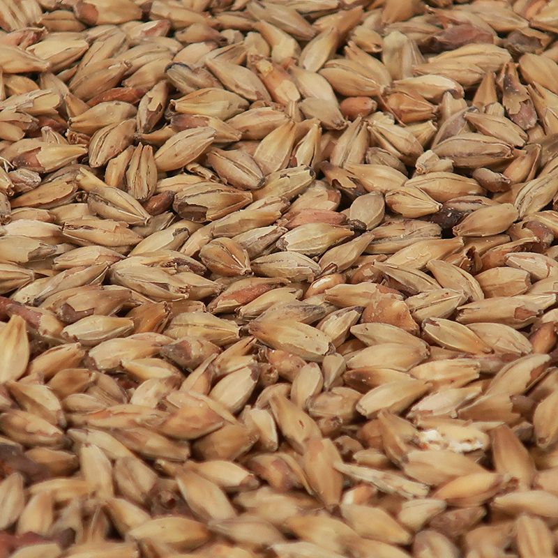 Melano Malt - Castle Malting 1 kg
