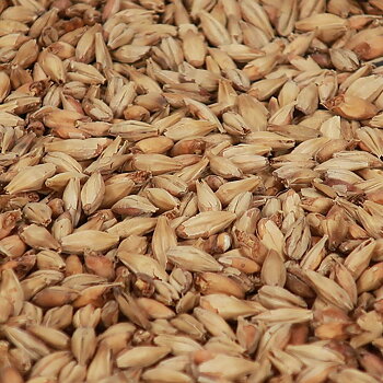 Munich Malt - Castle Malting 1 kg