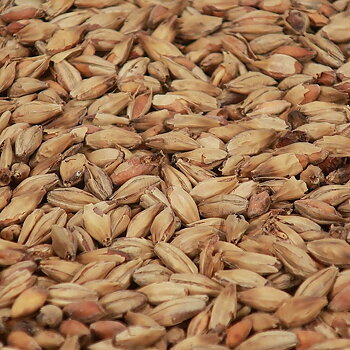 Abbey - Castle Malting 1 kg