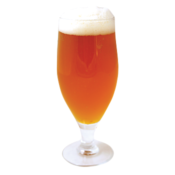 White House Honey Ale - 25 L. Kit