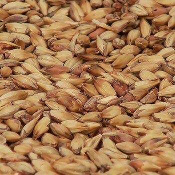 Cara Ruby Malt - Castle Malting 25 kg