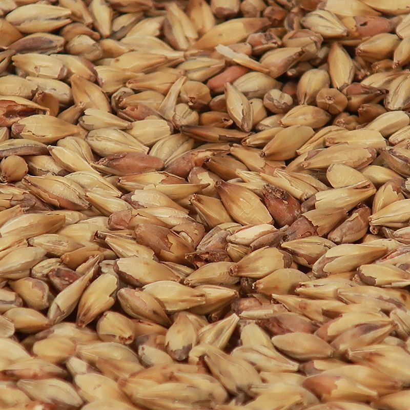 Cara Ruby Malt - Castle Malting 1 kg