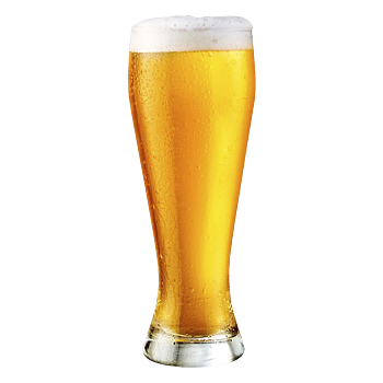 Bohemian Pilsner - 25 L. Kit