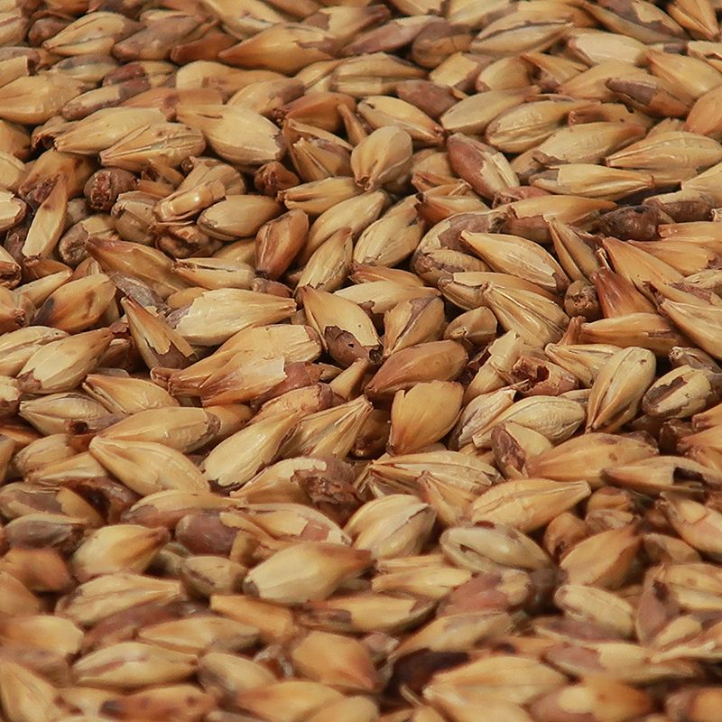 Cara Gold - Castle Malting 1 kg