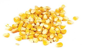 Foder Majs 25 kg