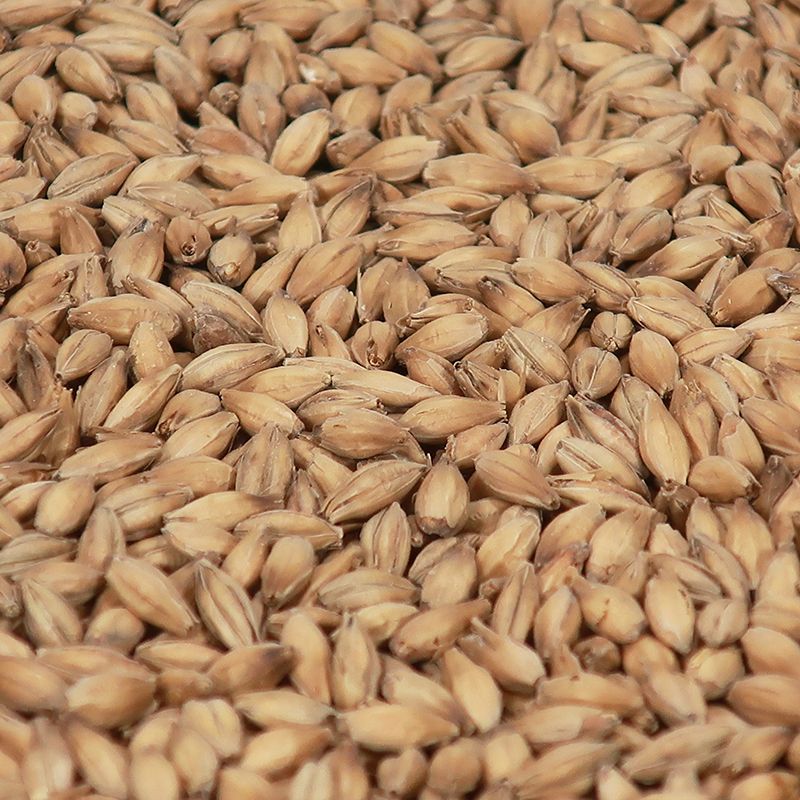Pilsnermalt - Castle Malting 25kg