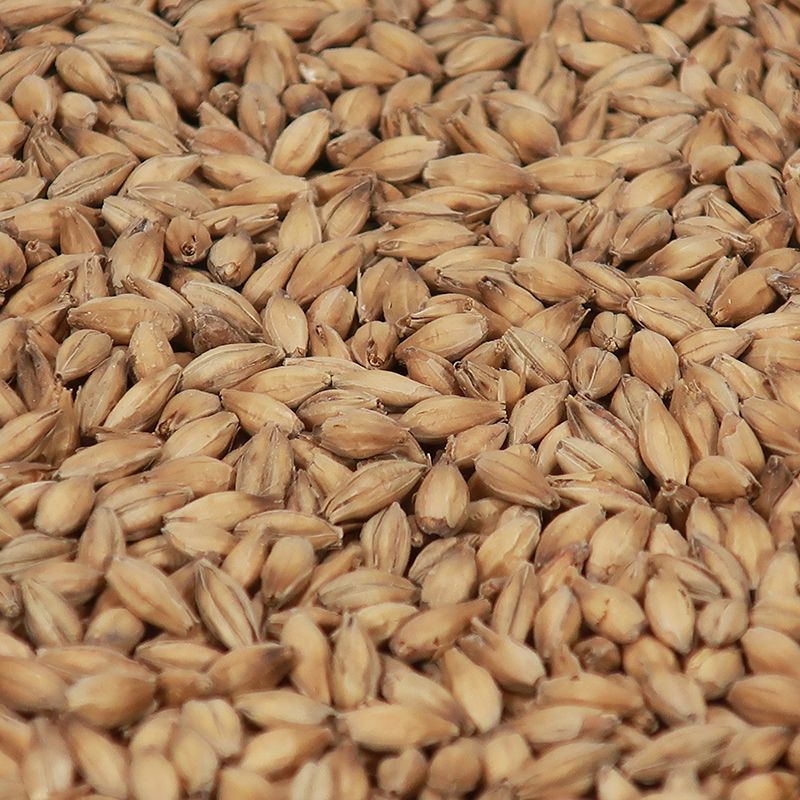 Vienna Malt - Castle Malting 25 kg