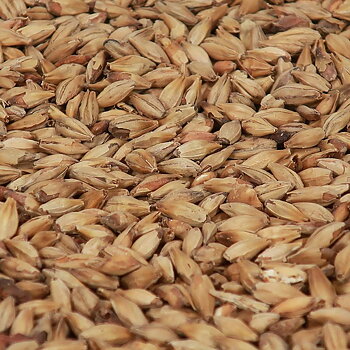 Melano Malt - Castle Malting 25 kg