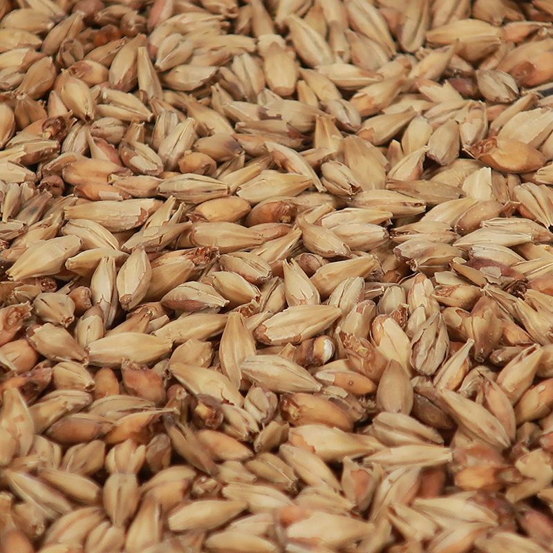 Munich Malt - Castle Malting 25 kg