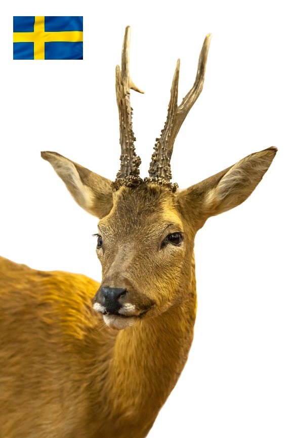 VILTFODER