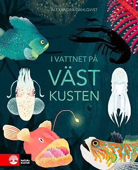 I vattnet på Västkusten