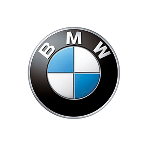 BMW Spoke Sets