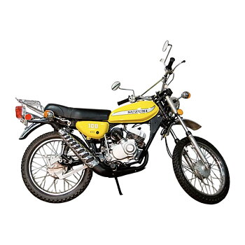 TS 100