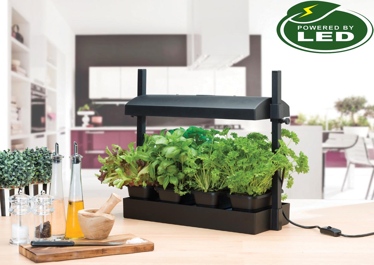 Micro Odlingsstation LED 8W  med underbevattning svart - 3