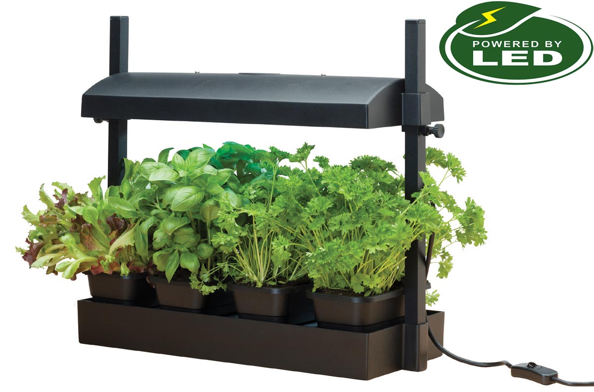 Micro Odlingsstation LED 8W  med underbevattning svart