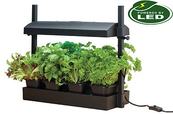 Micro Odlingsstation LED 8W  med underbevattning svart