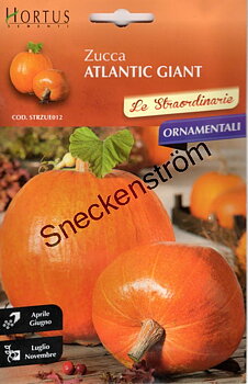 Jättepumpa "Atlantic Giant" Haloweenpumpan