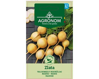Rädisa "Zlata"