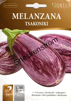 Aubergine "Tsakoniki"
