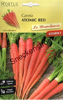 Morot Atomic Red