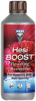HESI-Boost
