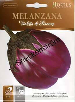 Aubergine "Violetta di Frirenze"