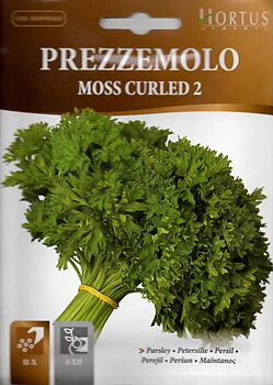 Persilja "Moss Curled 2"