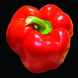 Quadrato dásti rosso