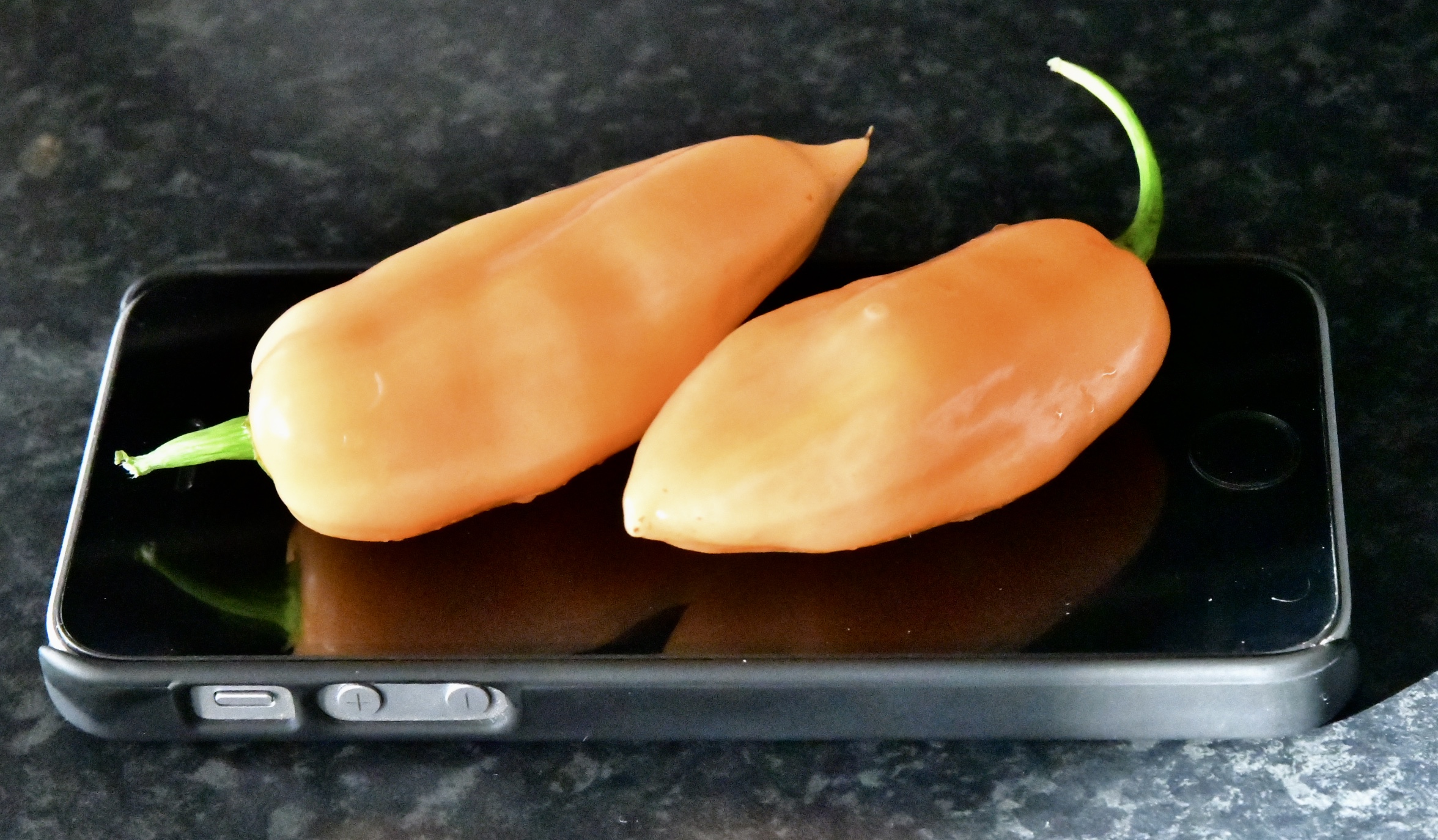 Habanero Lemon