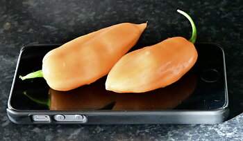 Habanero Lemon