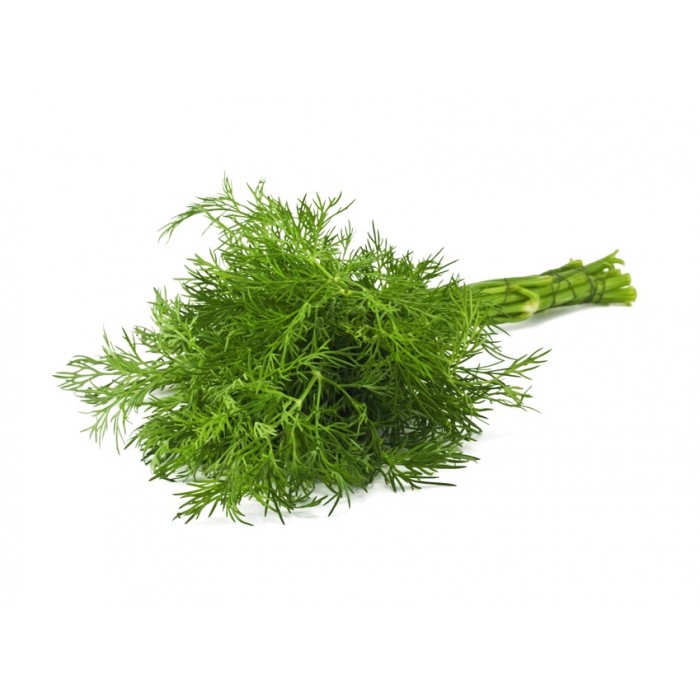Dill  Common - 2