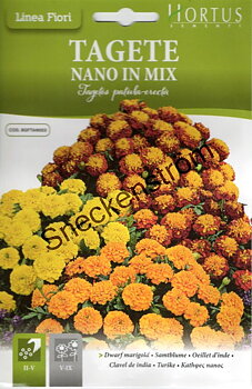 Tagetes  "Nano in Mix"