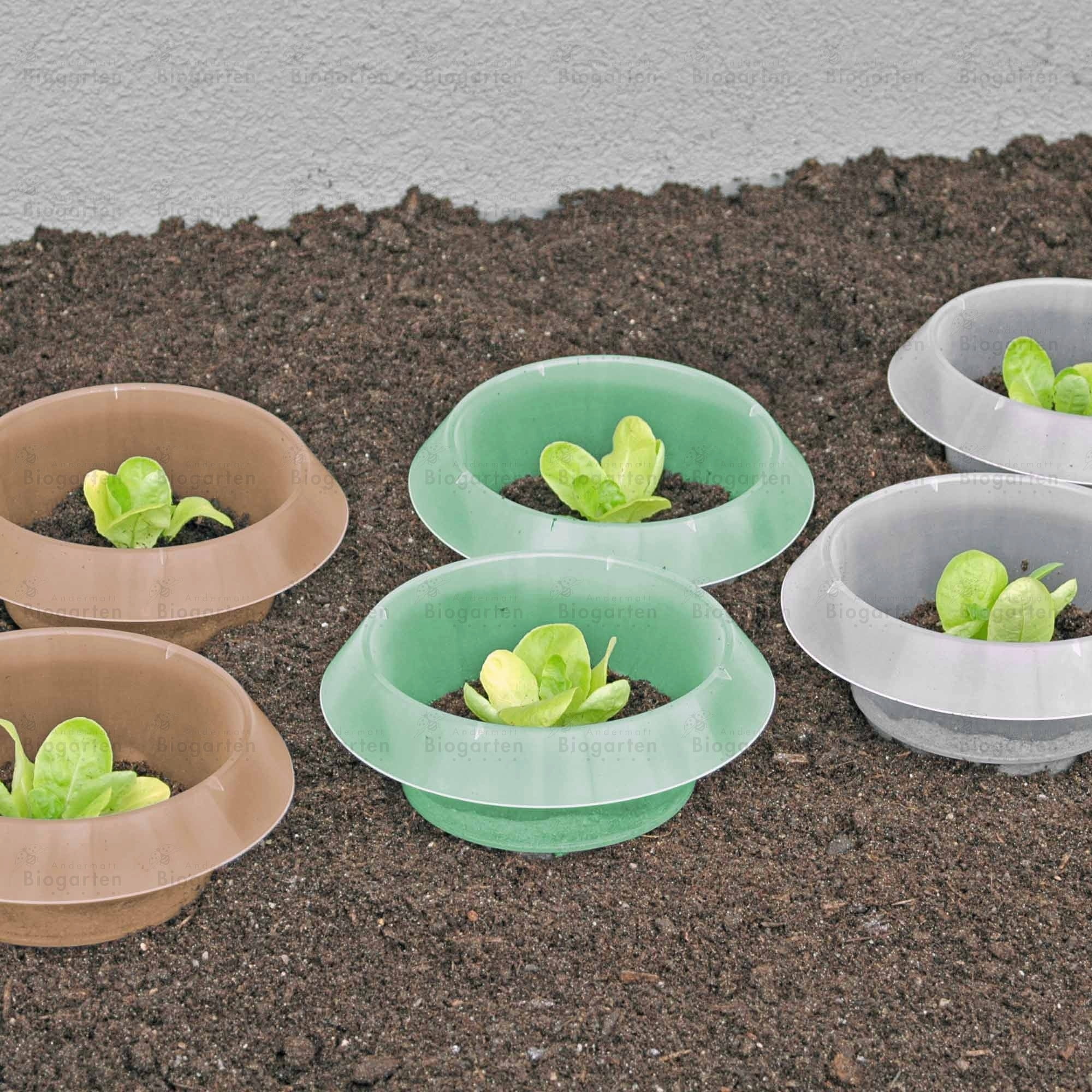 ROBUST Snigelstopp 12-pack - 2