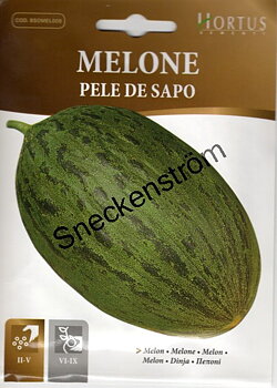 Melon "Pele de Sapo"