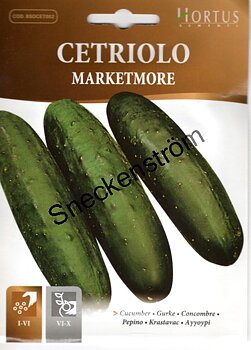 Gurka Marketmore