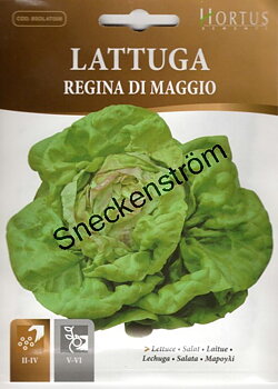 Isbergssallad "Regina di Maggio"