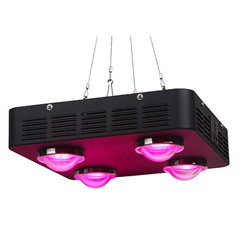 Spider COB S4 200W 