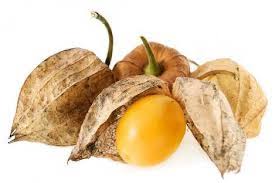 Cape Gooseberry (Physalis) - 2