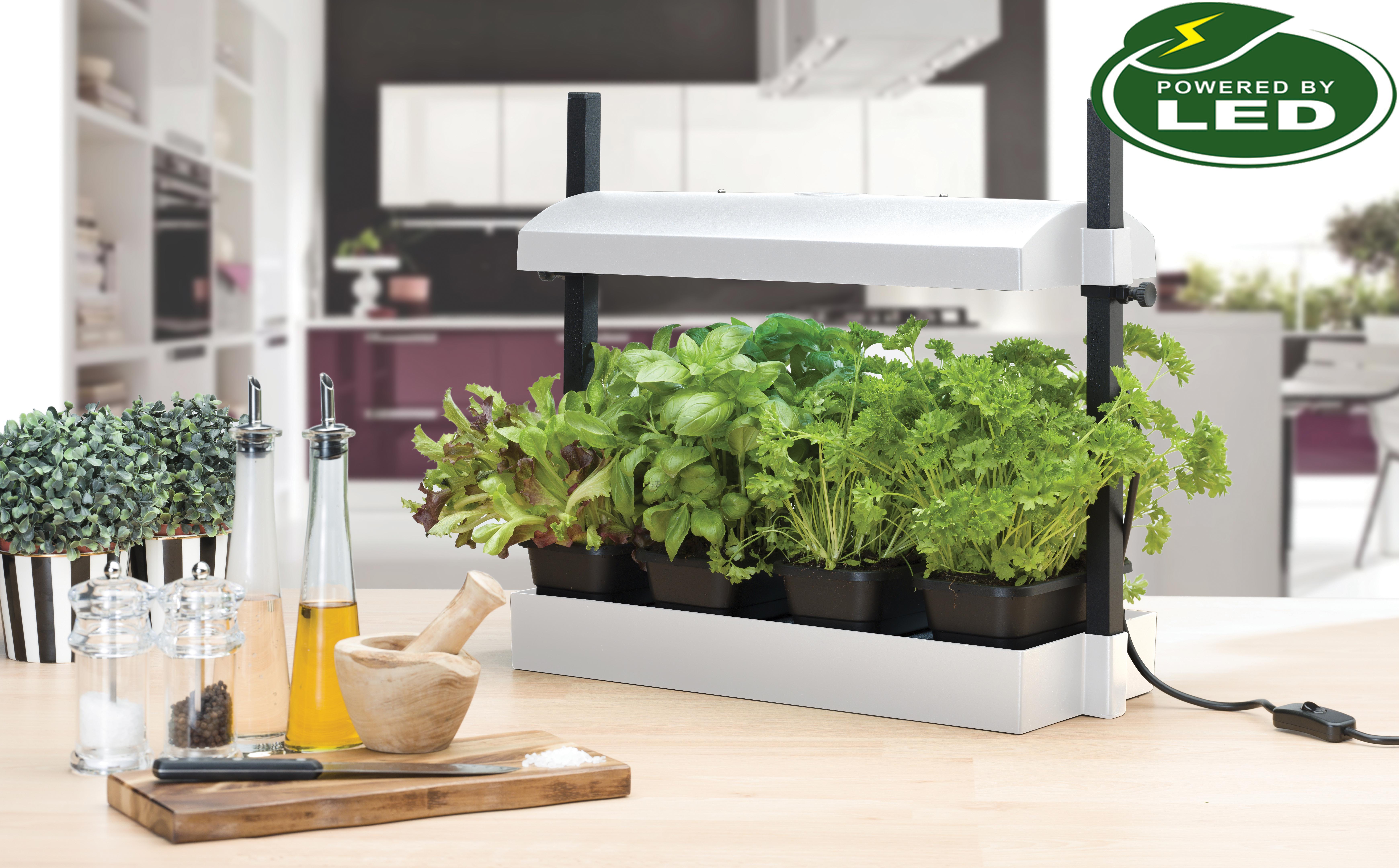 Micro Odlingsstation LED 8W  med underbevattning vit - 2
