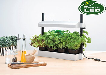 Micro Odlingsstation LED 8W  med underbevattning vit