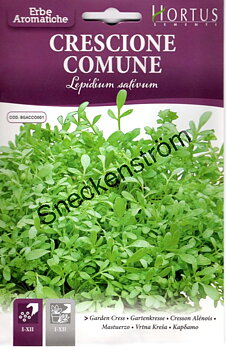 Krasse (Comune)