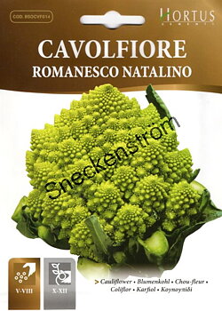 Blomkål "Romanesco Natalino"