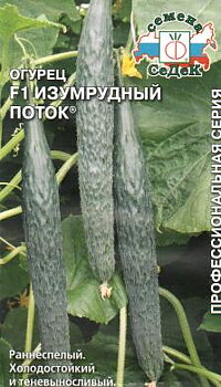 Emerald Stream F1