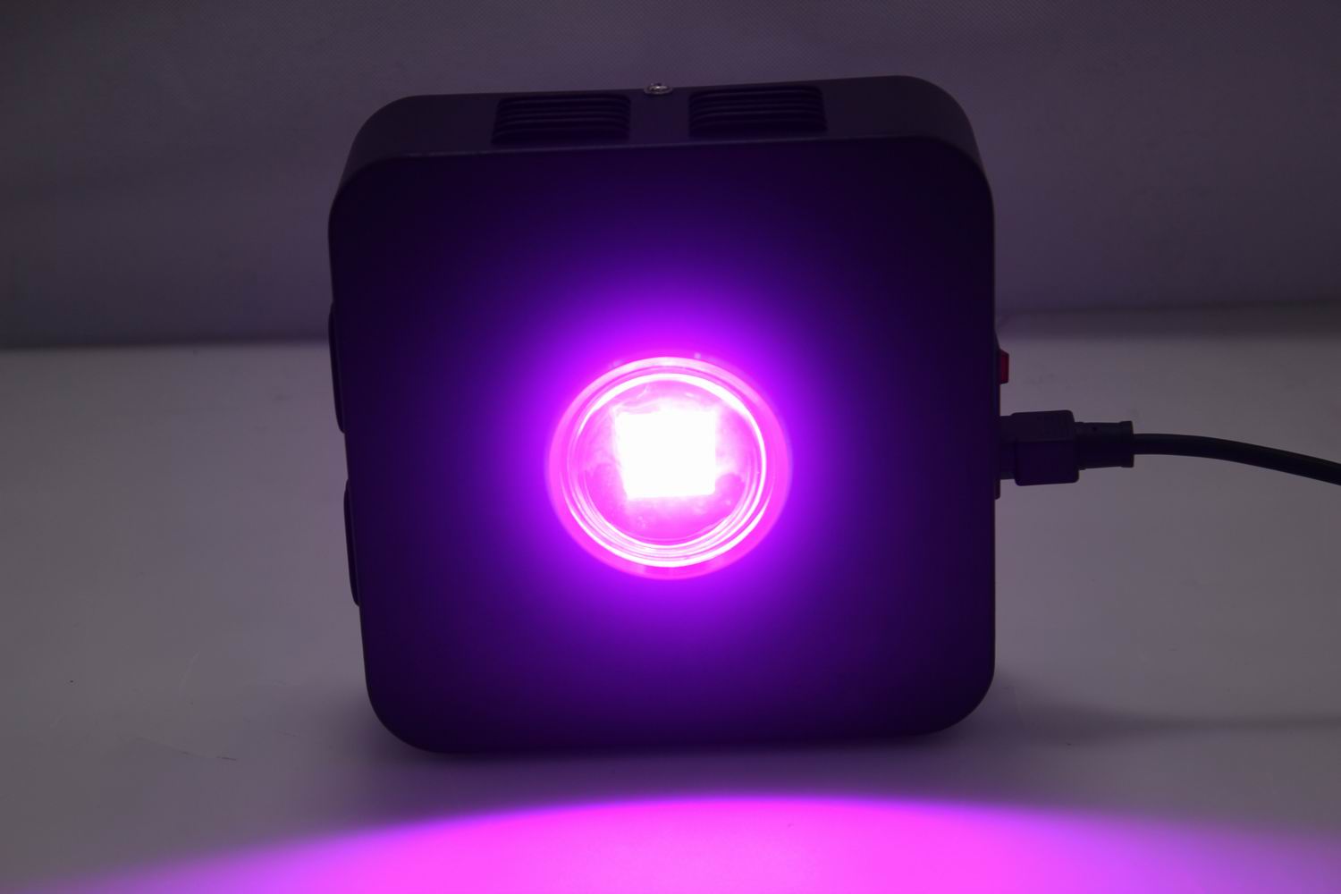 Spider COB S1 50W - 5