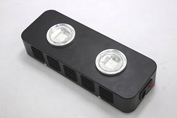 Spider COB S2 100W