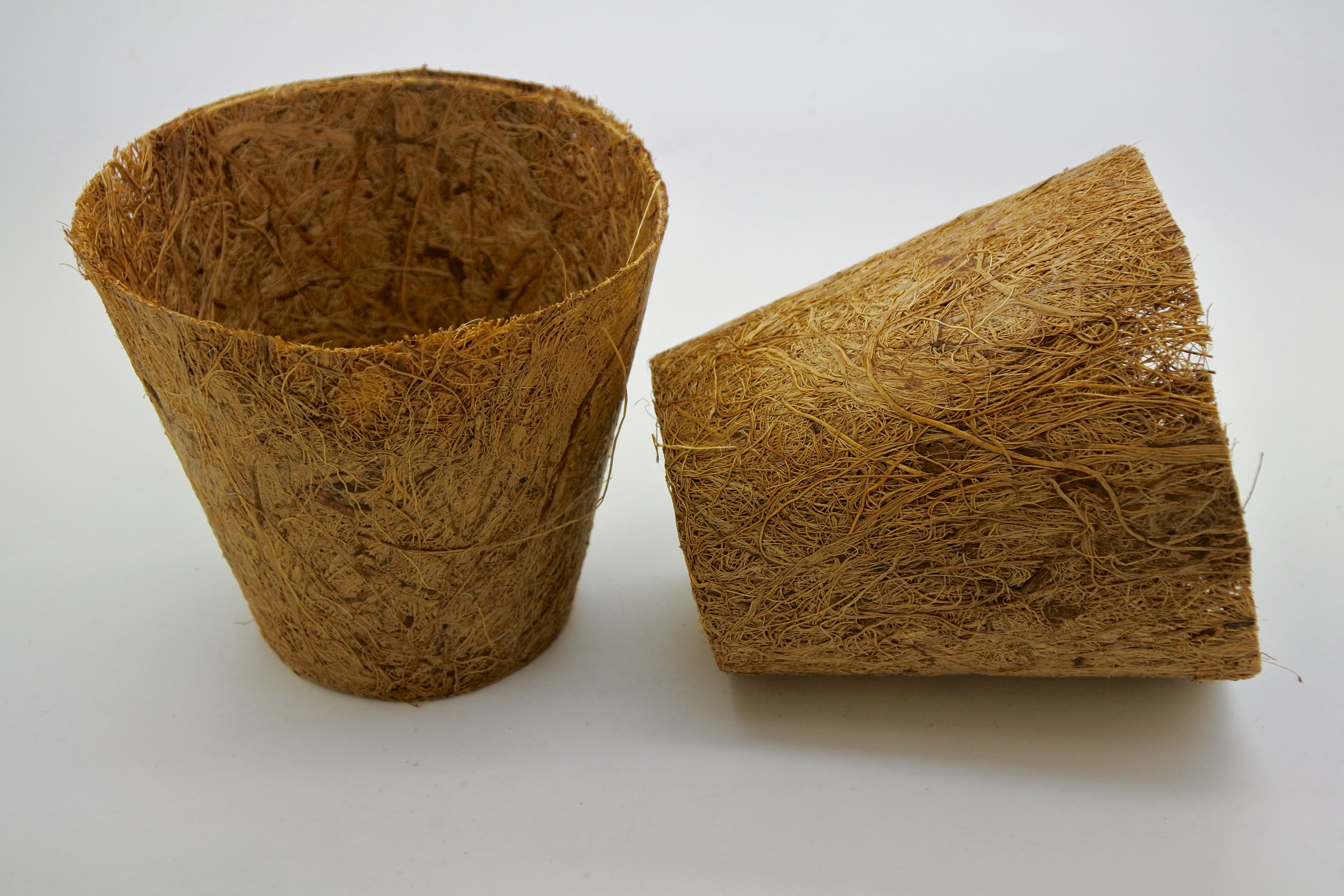 Kokoskruka 10cm (Coir Pot) 10-pack - 3
