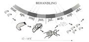 Nematoder mot öronvivlar - 3