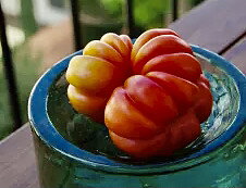 Oaxaca o Criolho