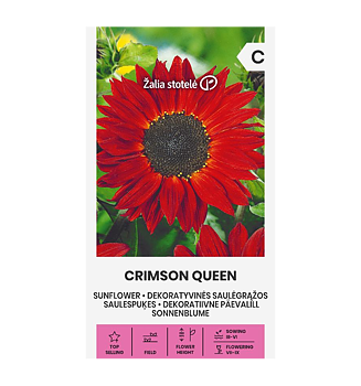 Solros Crimson Queen